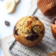 chocolate chip banana muffin