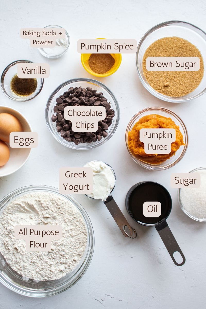 Ingredients to make fluffy pumpkin chocolate chip muffins.