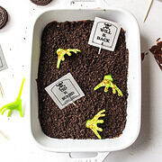 chocolate pudding dirt cake with halloween decor