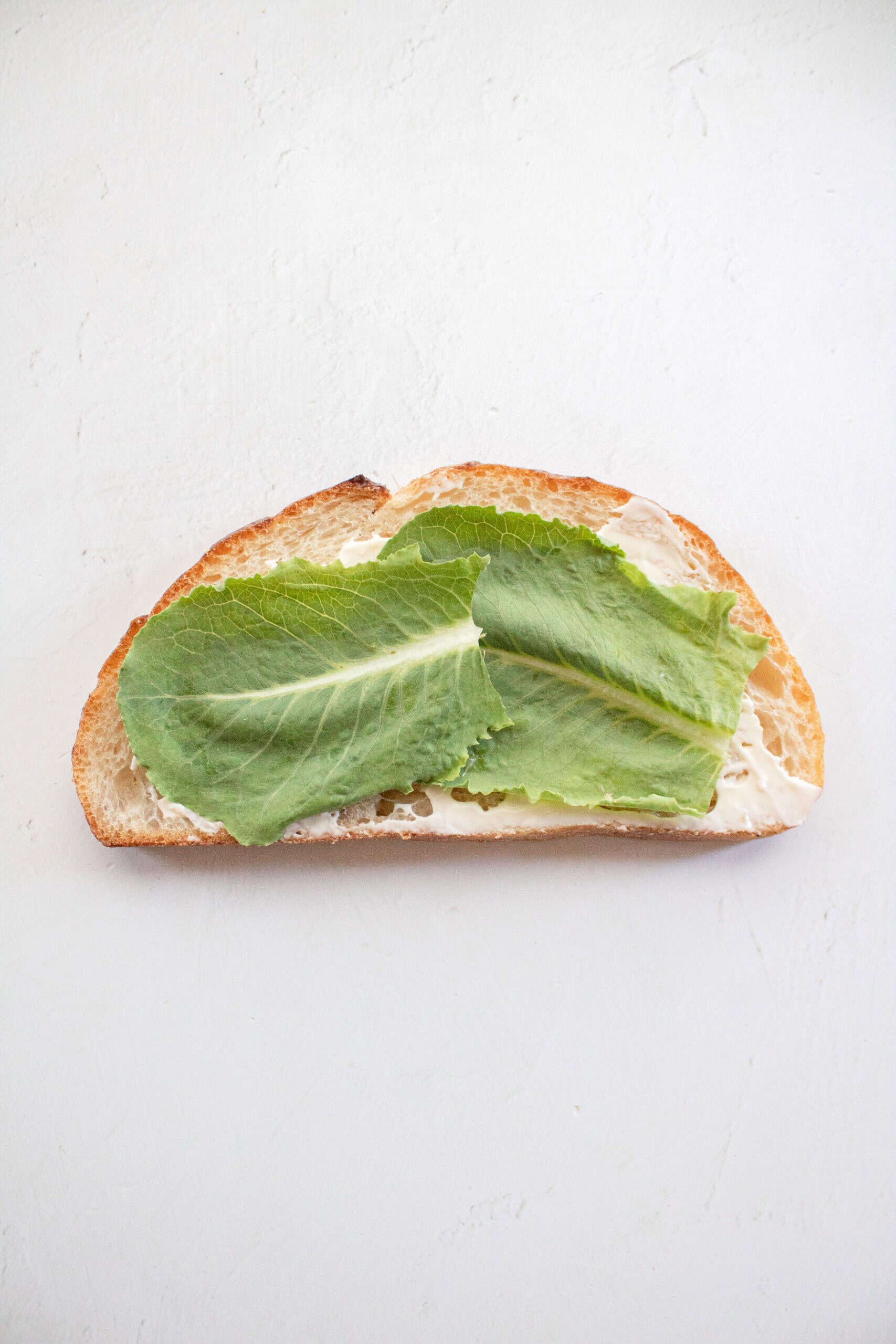 Lettuce and mayo on bread.