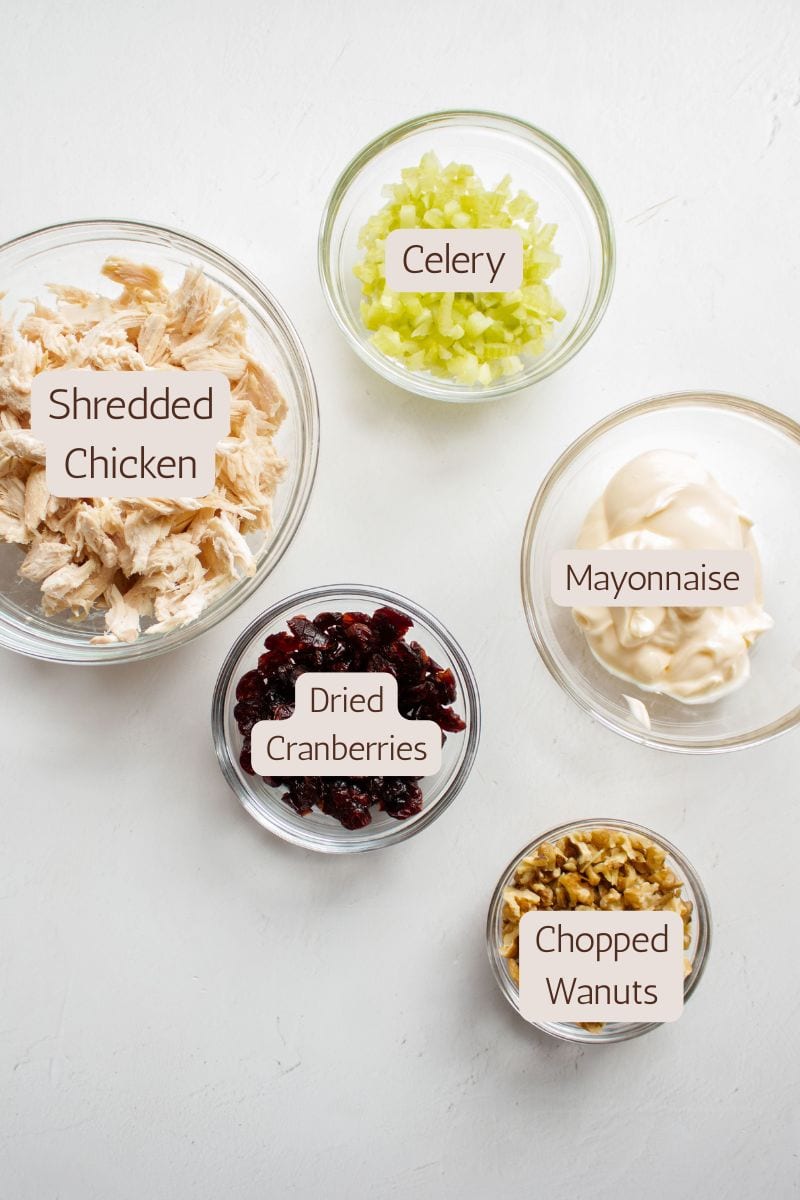 Ingredients to make cranberry chicken salad.