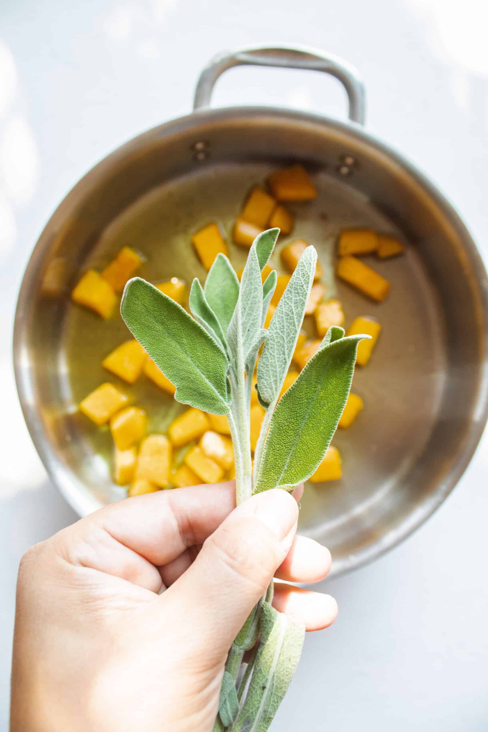 Sage added to a frying pan with melted butter and butternut squash.