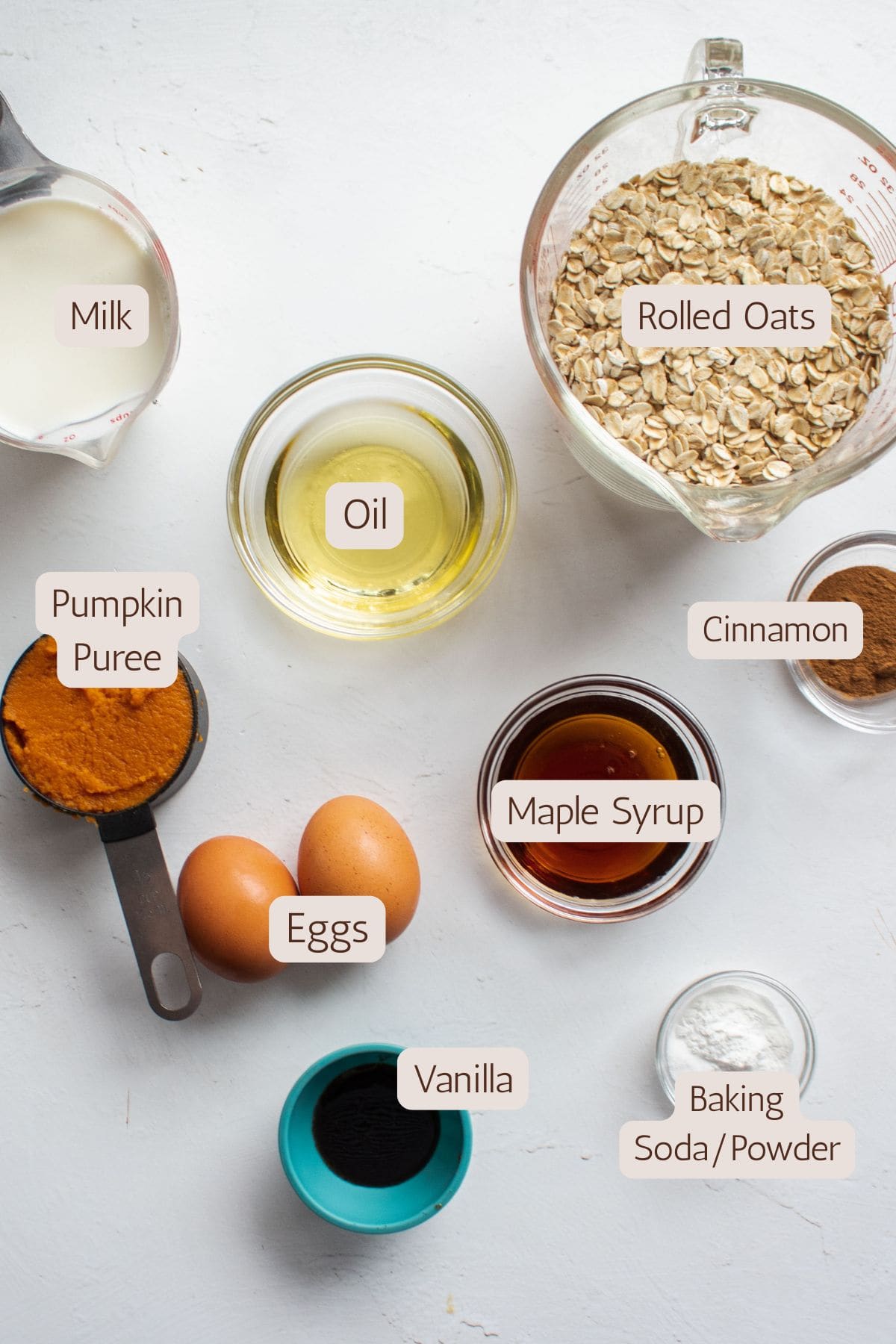 Ingredients to make baked pumpkin oatmeal.