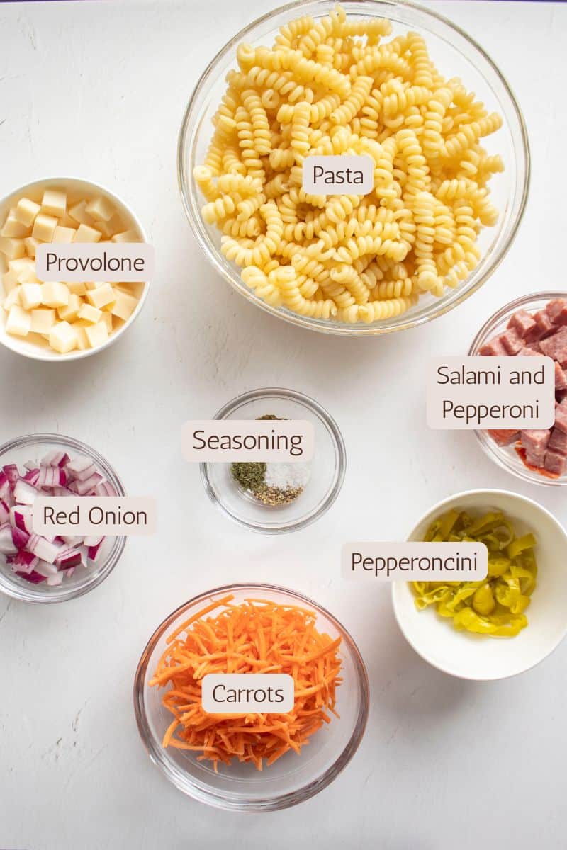 Ingredients to make a grinder antipasto pasta salad.